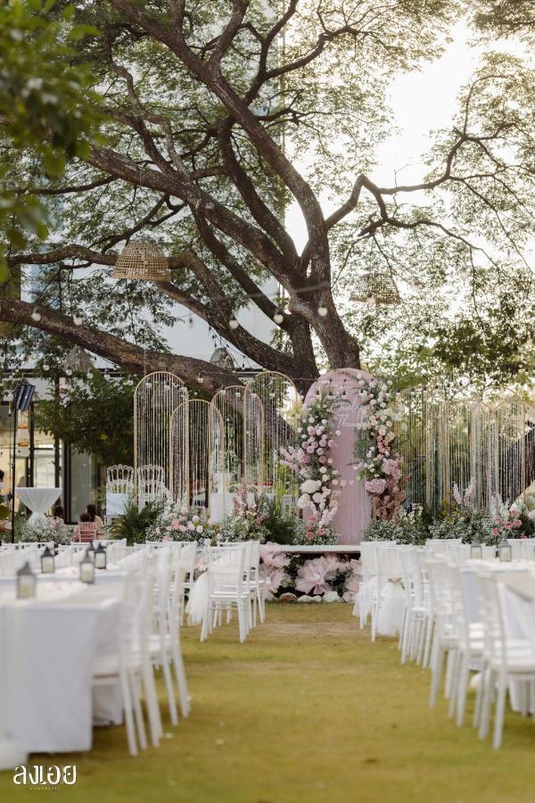 Tree Tara Hotel لامبانج المظهر الخارجي الصورة